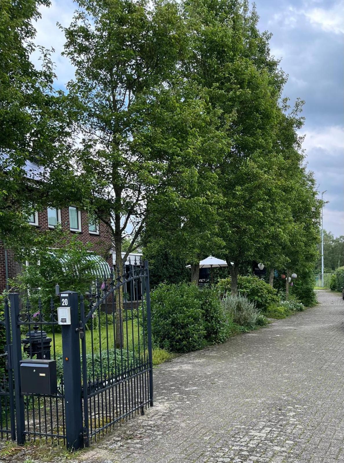 Vakantiewoning Fruitschuur De Morel 벤로 외부 사진